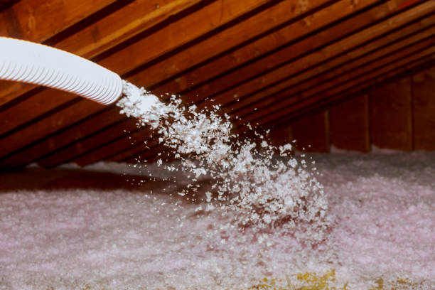 Best Specialized Insulation Services in Cascade, IA