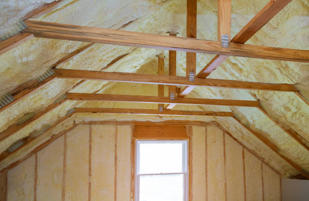 Best Spray Foam Insulation in Cascade, IA