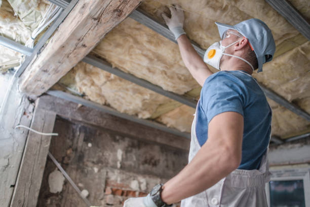 Best Eco-Friendly Insulation in Cascade, IA